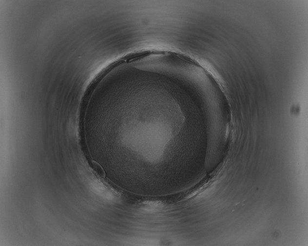 X0000093250391200710031608