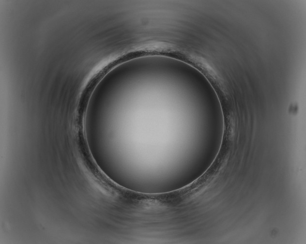 X0000093250392200710031608