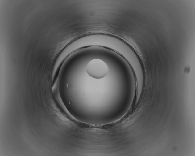 X0000093250393200710031608