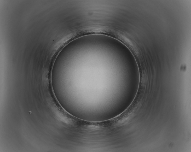 X0000093250394200710031608