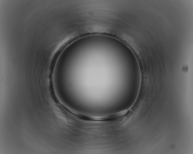 X0000093250395200710031608