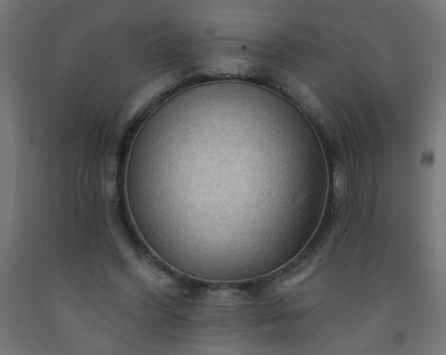 X0000093250396200710031608