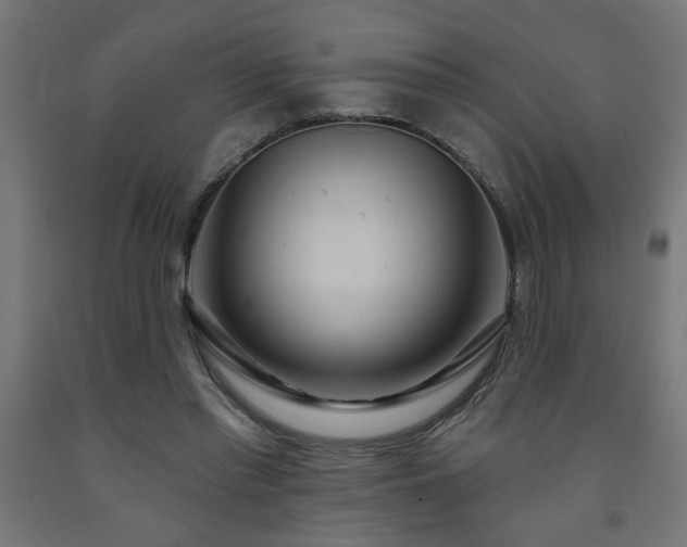 X0000093250397200710031608