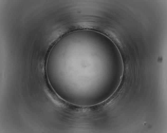 X0000093250398200710031608