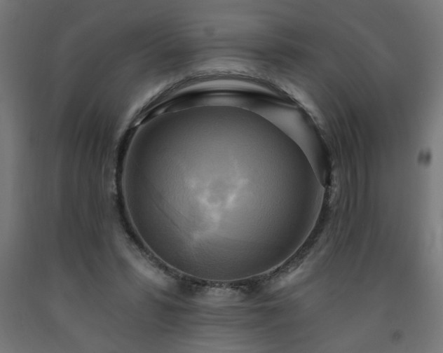 X0000093250399200710031608