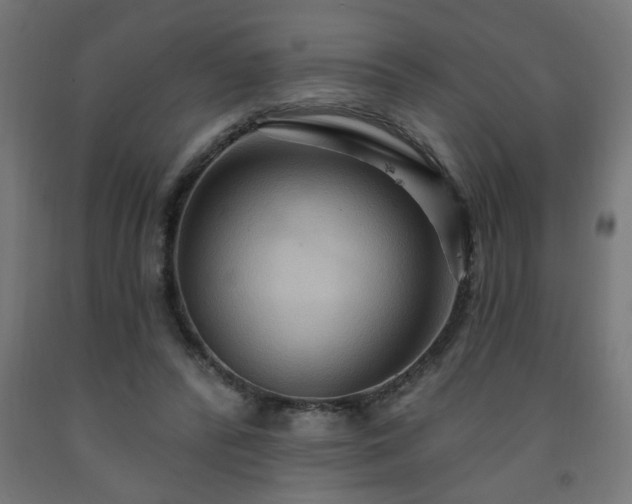 X0000093250400200710031608