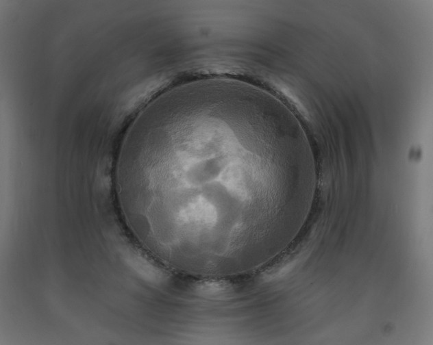 X0000093250402200710031608