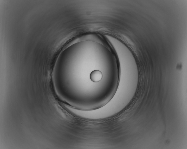 X0000093250405200710031608