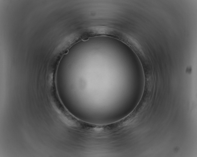 X0000093250406200710031608