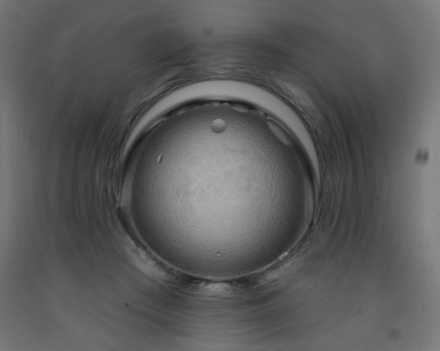 X0000093250409200710031608