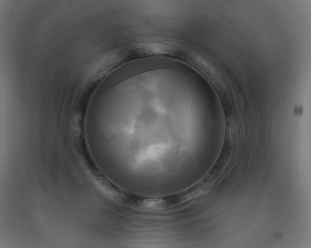 X0000093250410200710031608