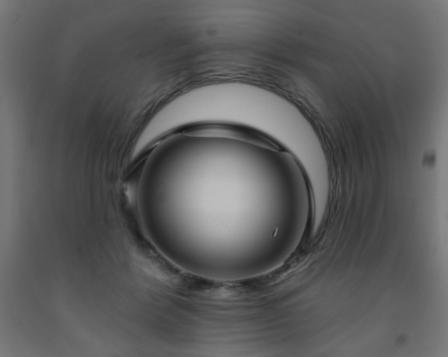 X0000093250412200710031608