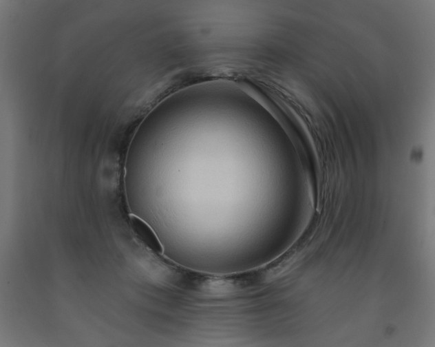 X0000093250413200710031608