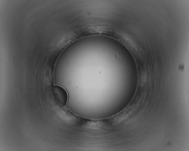 X0000093250414200710031608