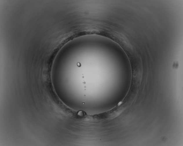 X0000093250416200710031608