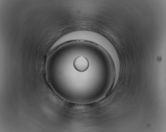 X0000093250417200710031608