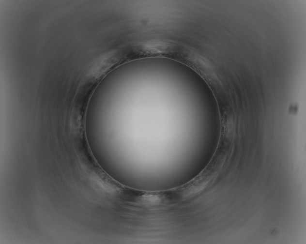 X0000093250418200710031608