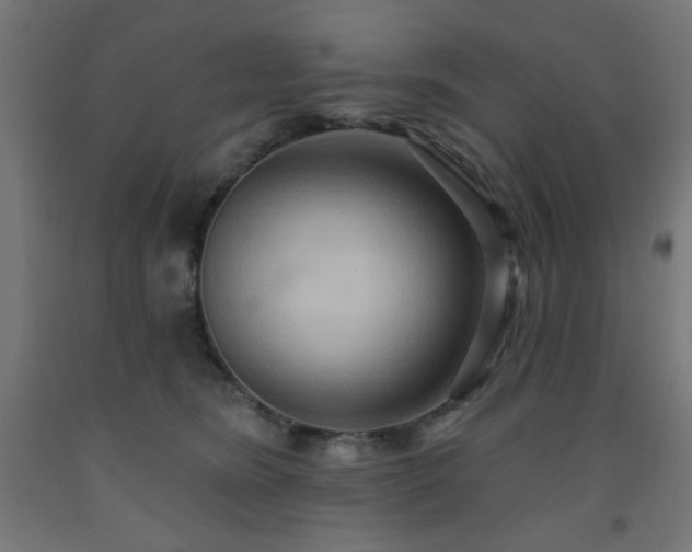 X0000093250420200710031608