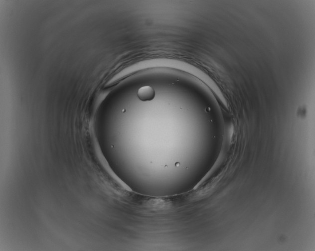 X0000093250421200710031608