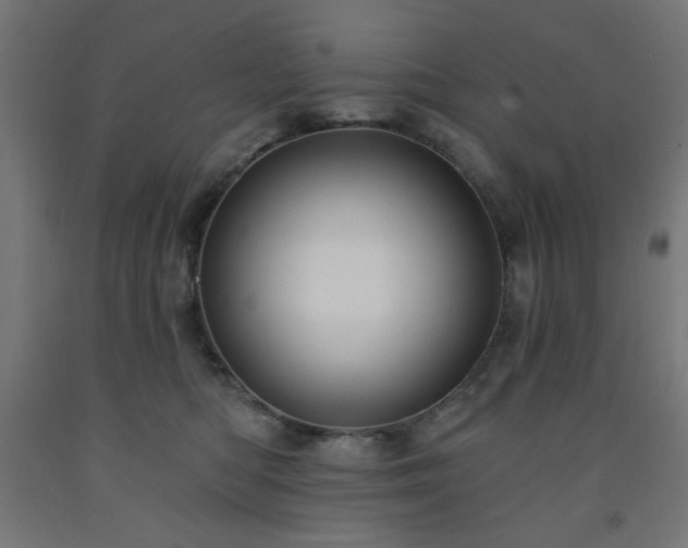 X0000093250422200710031608