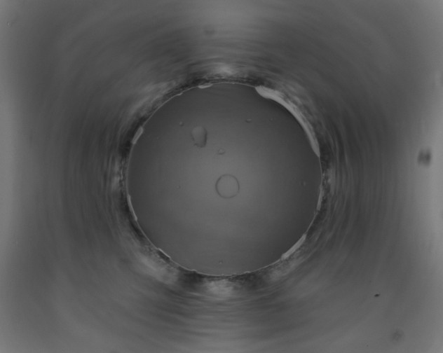 X0000093250423200710031608