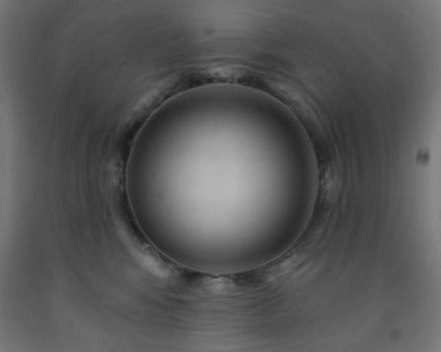 X0000093250424200710031608