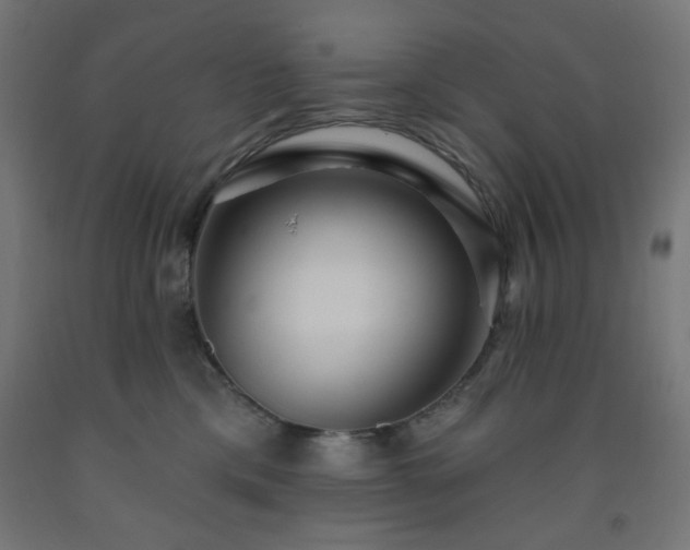 X0000093250425200710031608