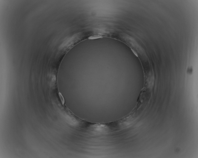 X0000093250427200710031608