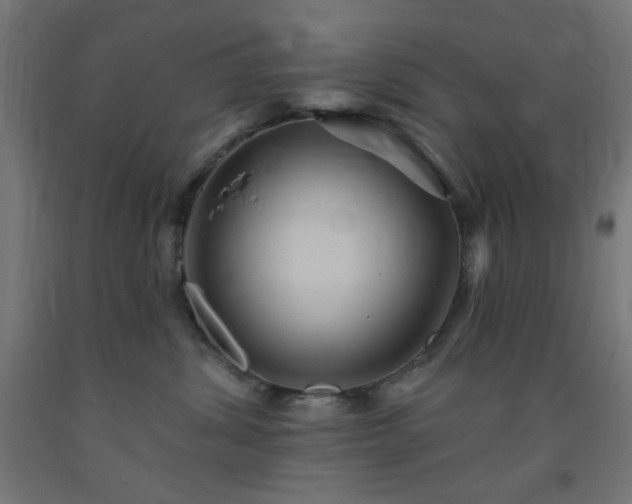 X0000093250428200710031608