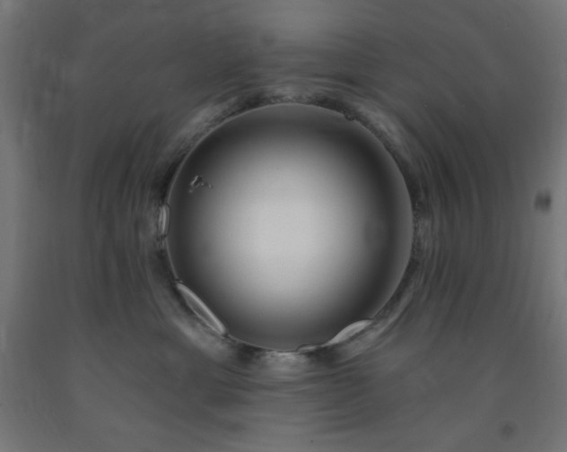 X0000093250429200710031608