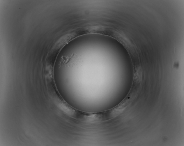 X0000093250430200710031608