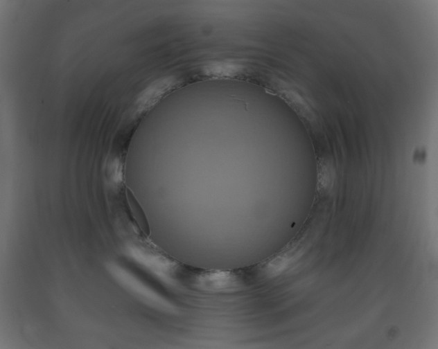 X0000093250431200710031608