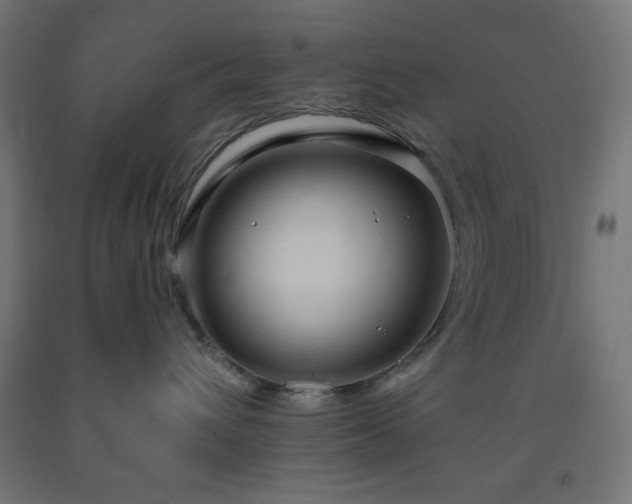 X0000093250432200710031608