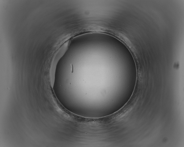 X0000093250433200710031607