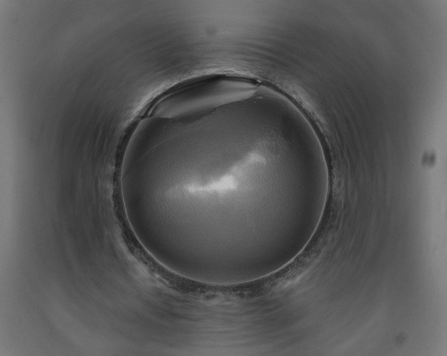 X0000093250434200710031607