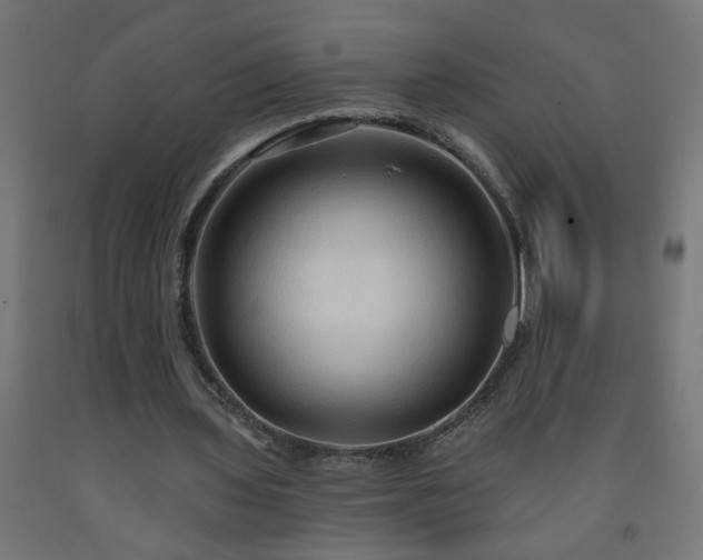 X0000093250435200710031607