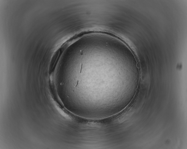 X0000093250437200710031607