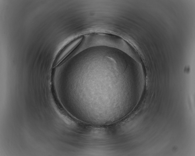 X0000093250438200710031607