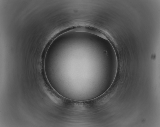 X0000093250439200710031607