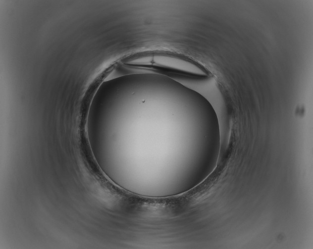 X0000093250440200710031607