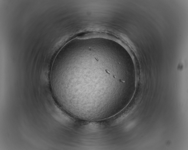 X0000093250441200710031607