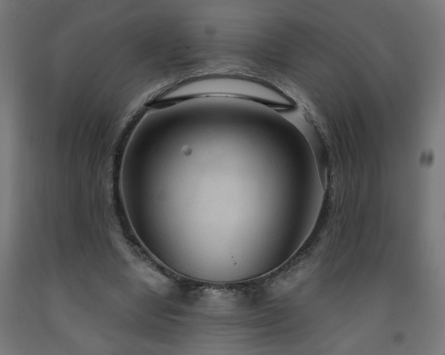 X0000093250442200710031607