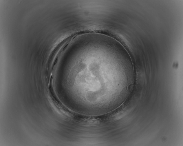 X0000093250443200710031607