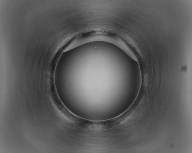 X0000093250444200710031607