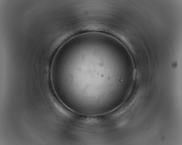 X0000093250445200710031607