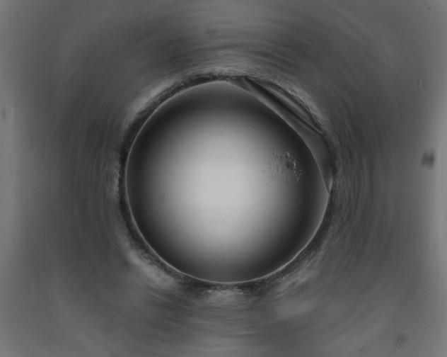 X0000093250446200710031607