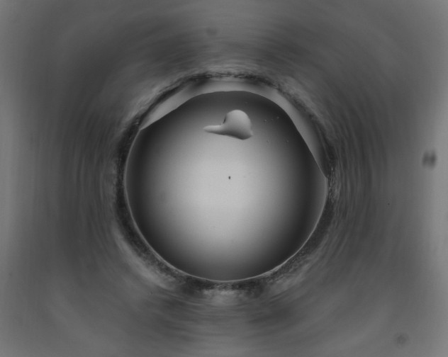 X0000093250448200710031607