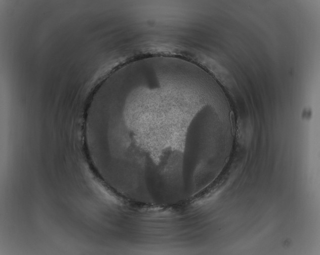 X0000093250449200710031607