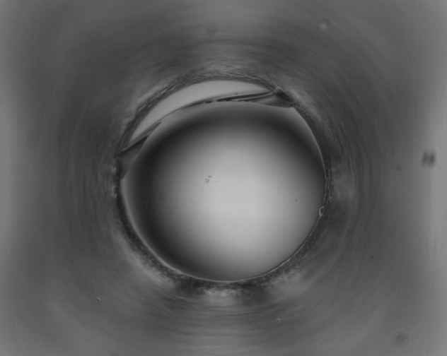 X0000093250450200710031607