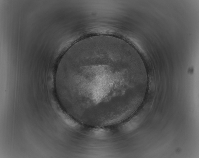 X0000093250453200710031607